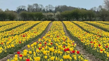 How to watch Britain’s Most Scenic Counties Season 3