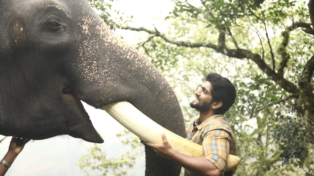 How to watch Kumki 2 outside India