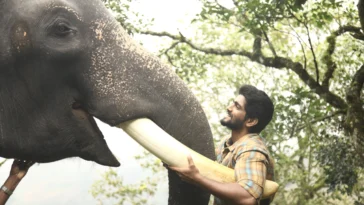 How to watch Kumki 2