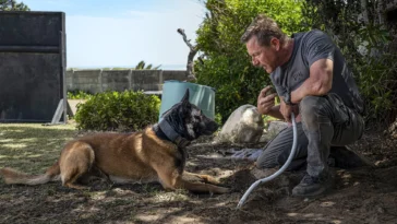 How to watch Muzzle City of Wolves