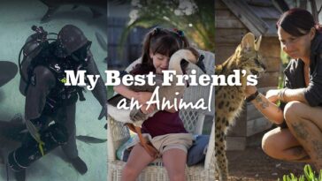 How to watch My Best Friend's An Animal Season 2