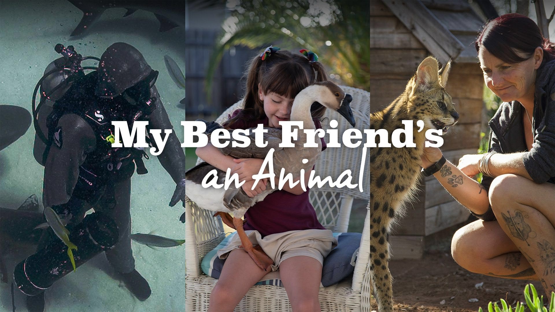 How to watch My Best Friend's An Animal Season 2