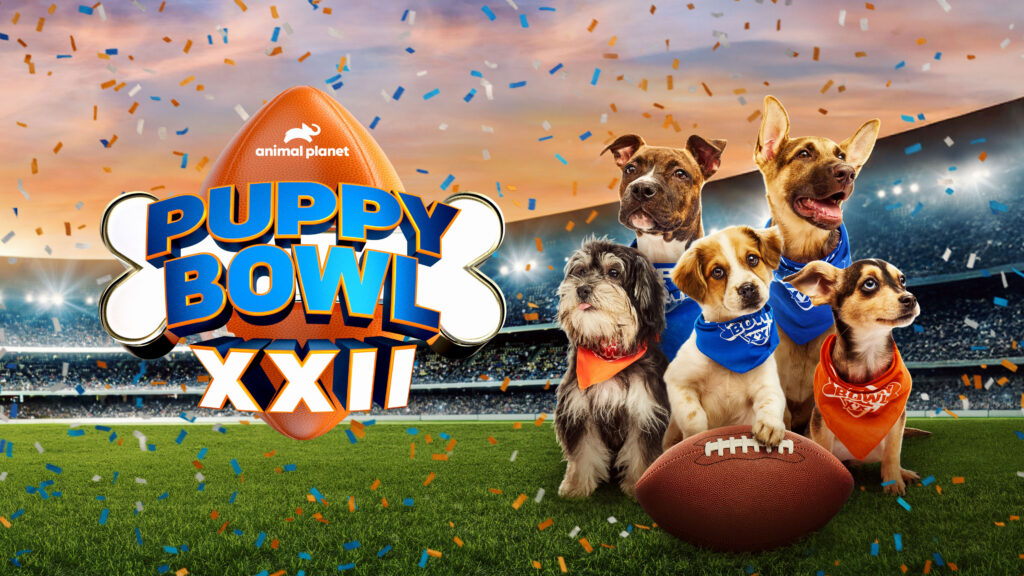 How to watch Puppy Bowl XXII