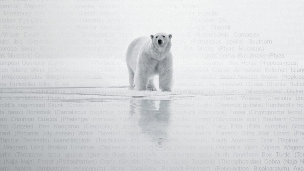 How to watch Trade Secret (2025) from anywhere