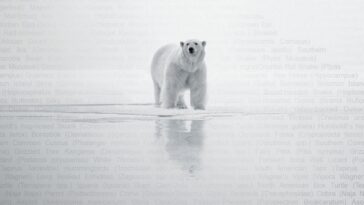 How to watch Trade Secret (2025)