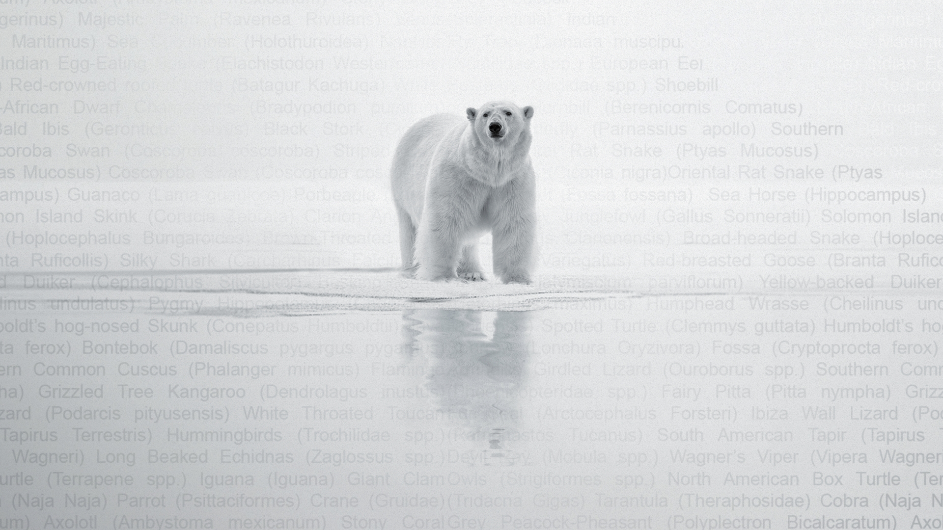 How to watch Trade Secret (2025)