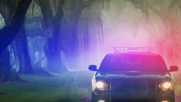 How to watch Southern Law Season 1