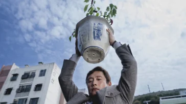 How to watch No Other Choice