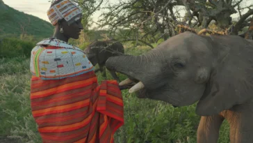 How to watch Our New World (2026)