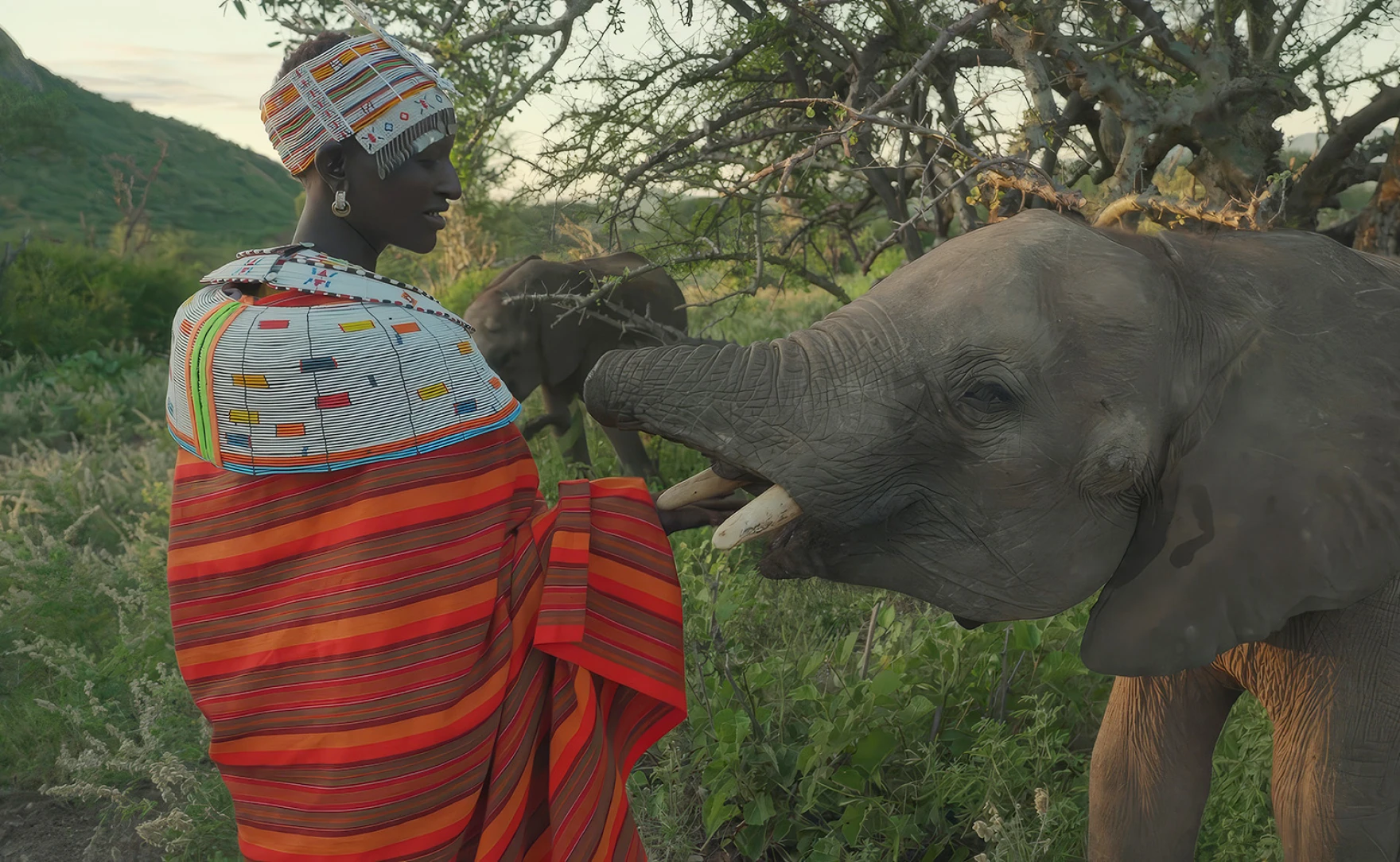 How to watch Our New World (2026)