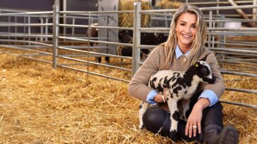 How to watch Springtime On The Farm Season 9