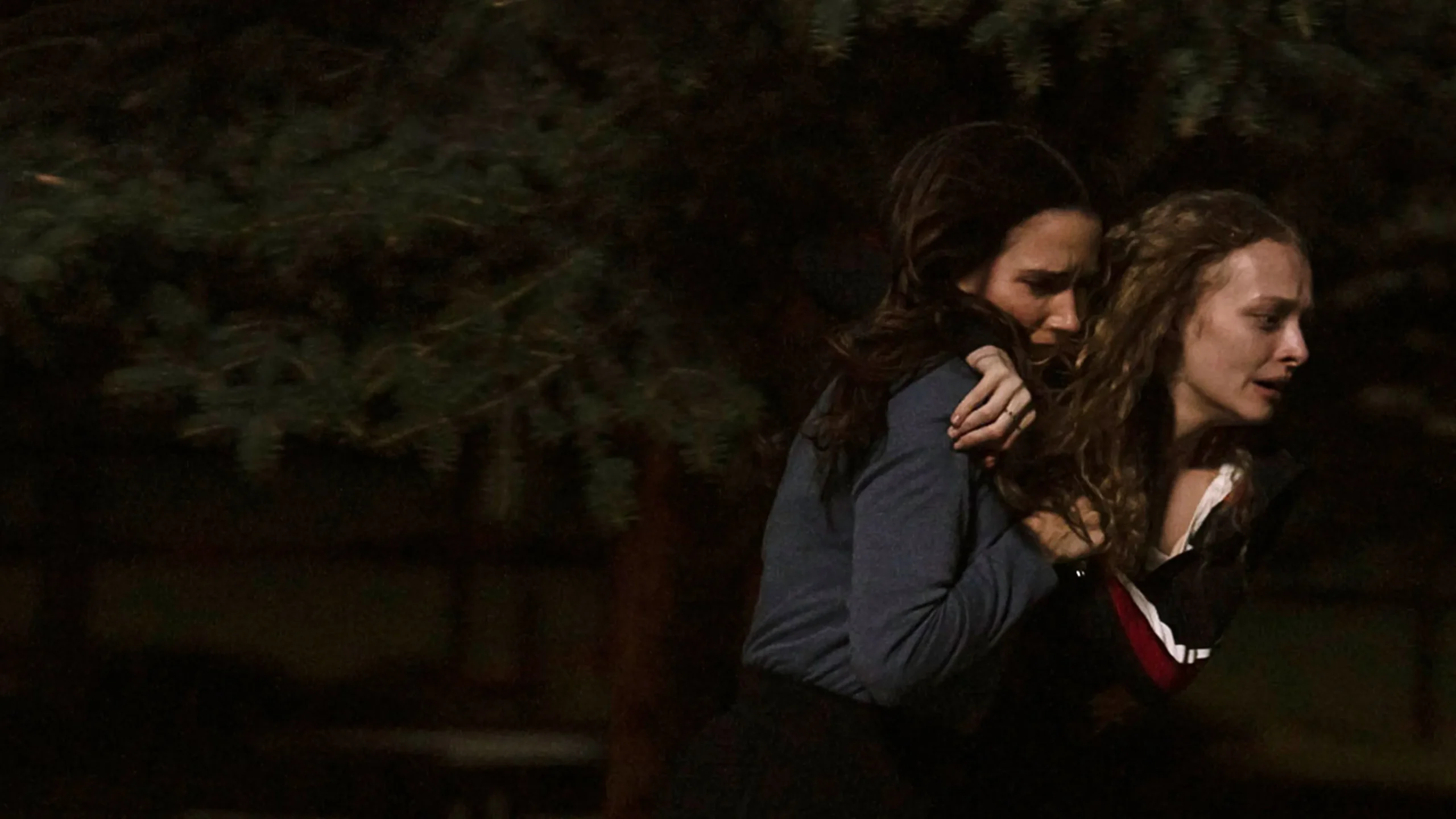 How to watch The Stranger in My Home