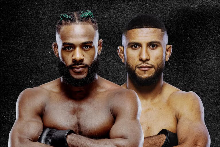 How to watch UFC Fight Night Sterling vs. Zalal lice stream