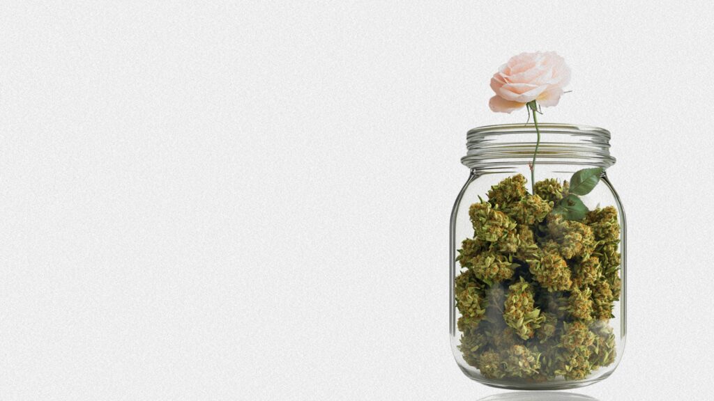 How to watch Dr. Sanjay Gupta Reports Weed 8 Women and Weed