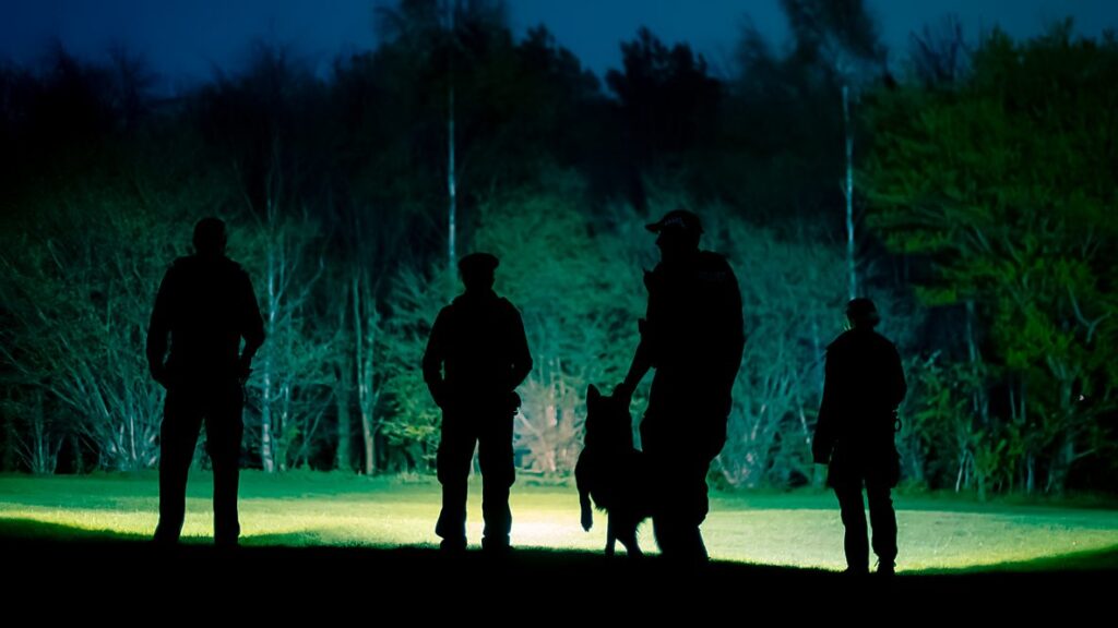 How to watch Reported Missing Series 5 for free
