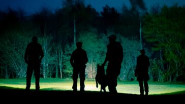 How to watch Reported Missing Series 5 for free