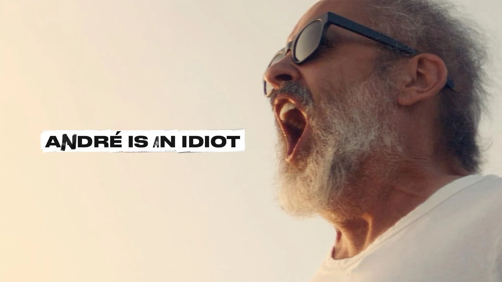 How to watch André Is an Idiot