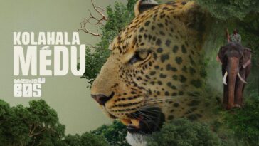 How to watch Kolahalamedu (2026)