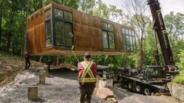 How to watch Wild Homes