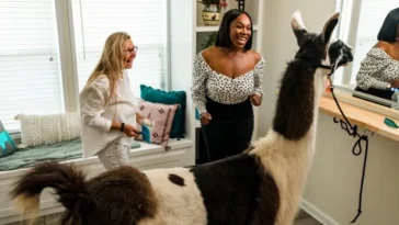 How to watch Extreme Buyers Club Season 1