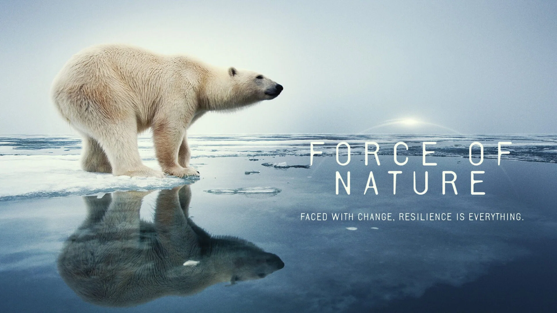 How to watch Force of Nature