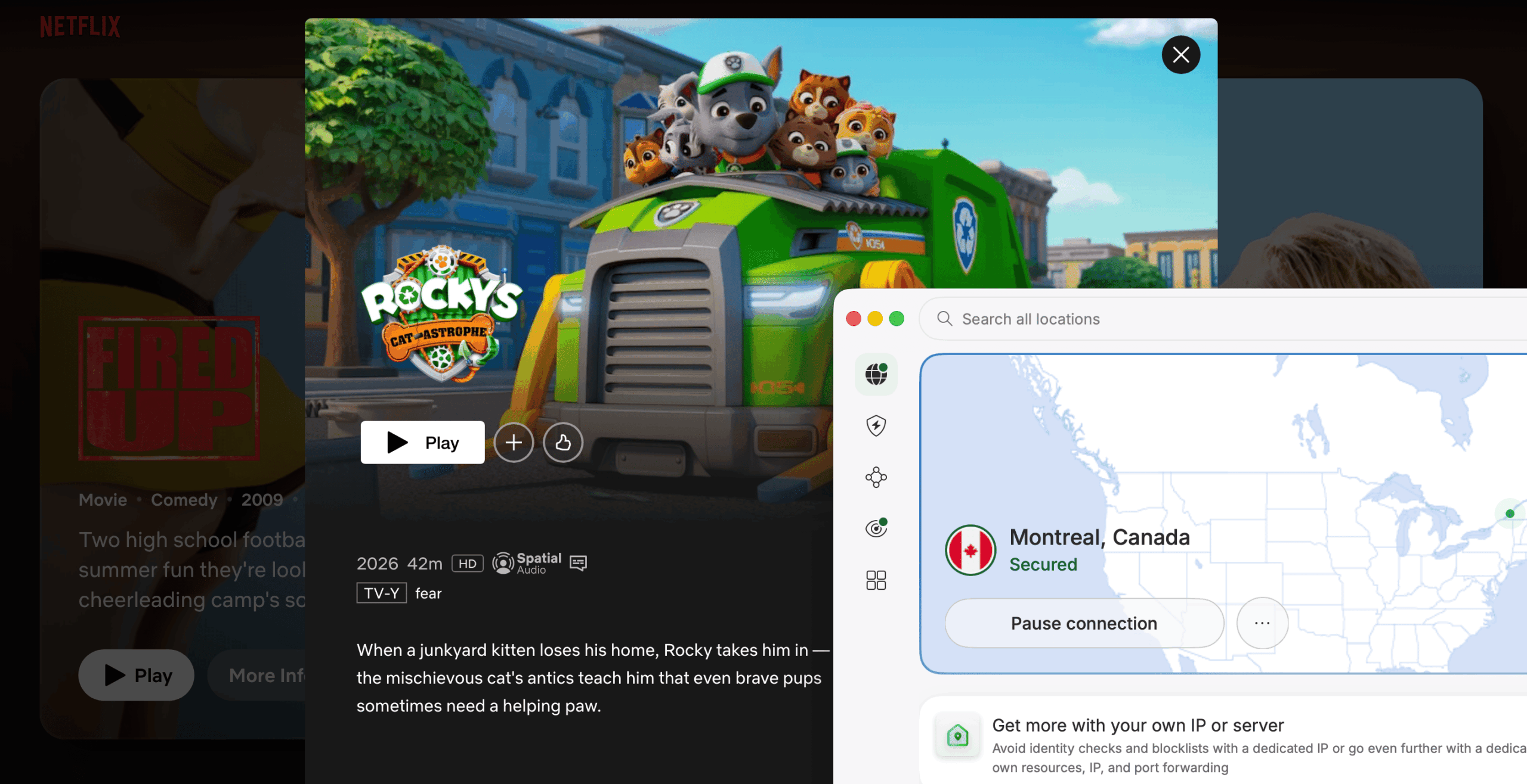 How to watch Rocky's Cat-astrophe on Netflix