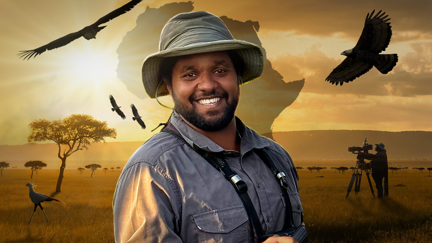 How to watch Hamza African Birds of Prey
