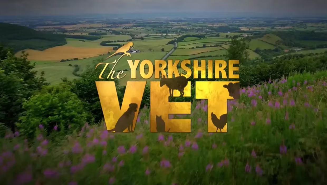How to watch The Yorkshire Vet Series 23