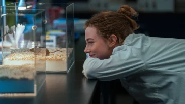 How to watch The Love Hypothesis