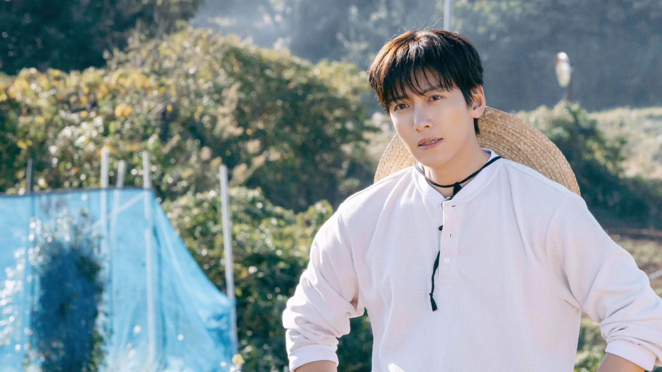 How to watch Merry Berry Love